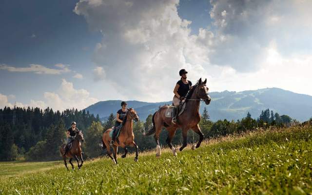 Ein Paradies fuer Reiter