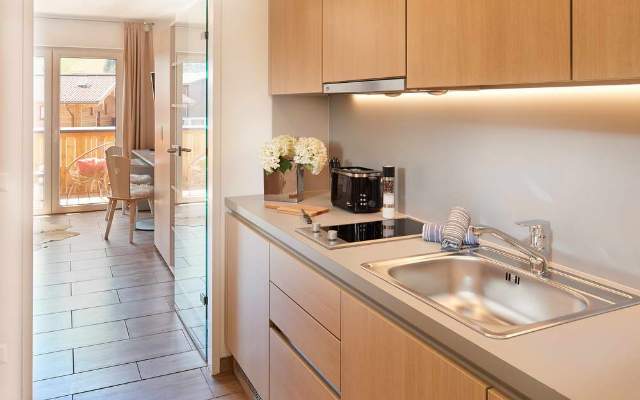 Kitchen in the stylish flats