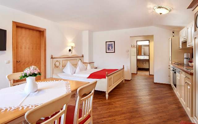 The Aparthotel Dachsteinblick offers flats for up to 8 people
