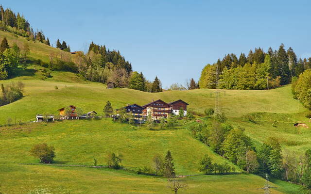 Bauernhof Stadlleiten_1