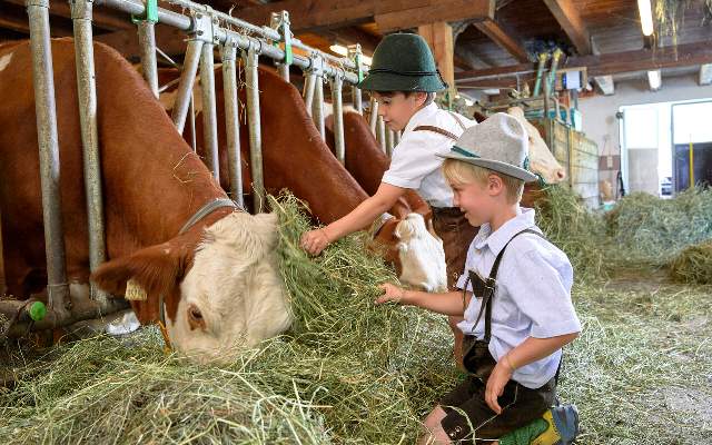 Das Bauernhofleben