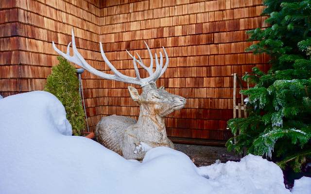Das Areal bietet ideale Voraussetzungen fuer Kindergruppen oder Vereine