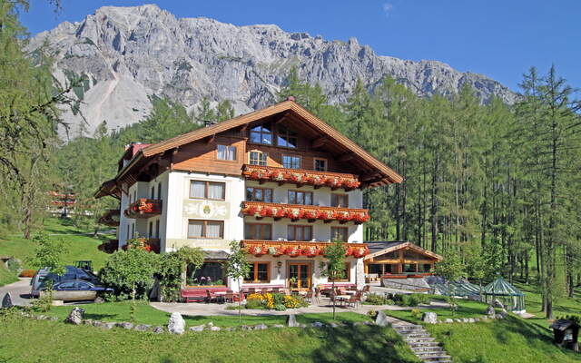 Der Laerchenhof praesentiert sich im Sommer umgeben von Baeumen und umrahmt vom Dachsteingebirge