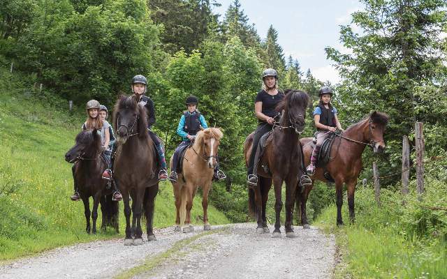 Am Oberegg Hof koennen Kinder auf den braven Islandpferden reiten
