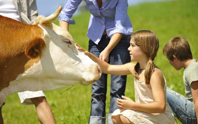 The children can actively participate in farm activities