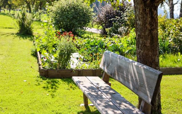 Sommerurlaub in den Appartements am Reiterhof in Ramsau am Dachstein