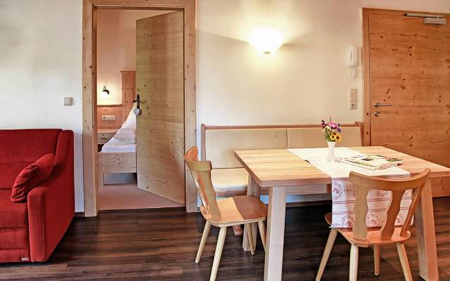 Spacious apartments for up to 6 people in Grossarl
