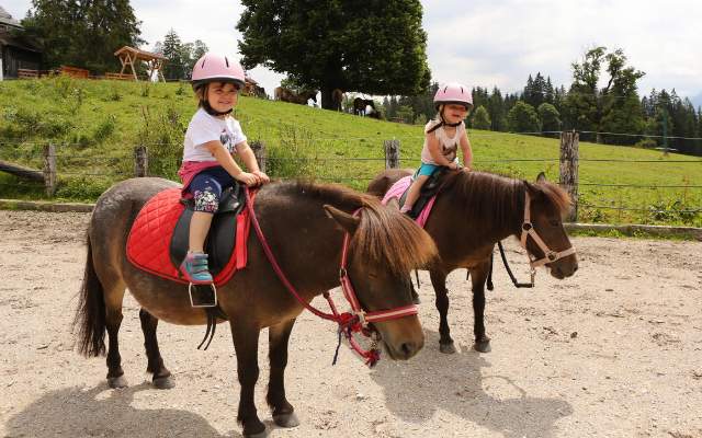 Pony rides for children in summer