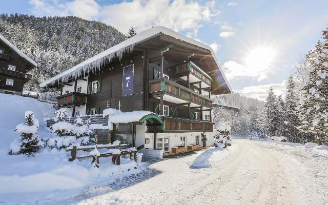 Villa 7 - Winterurlaub in Flachau